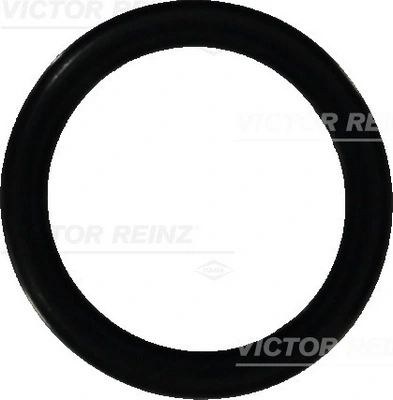 Seal Ring